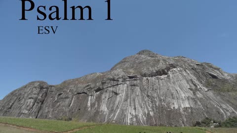 Psalm 1 (ESV) - Hear the Psalms and Repeat