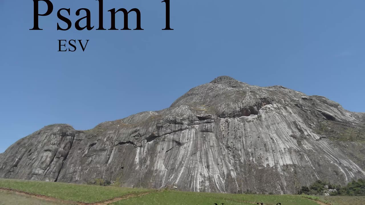 Psalm 1 (ESV) - Hear the Psalms and Repeat