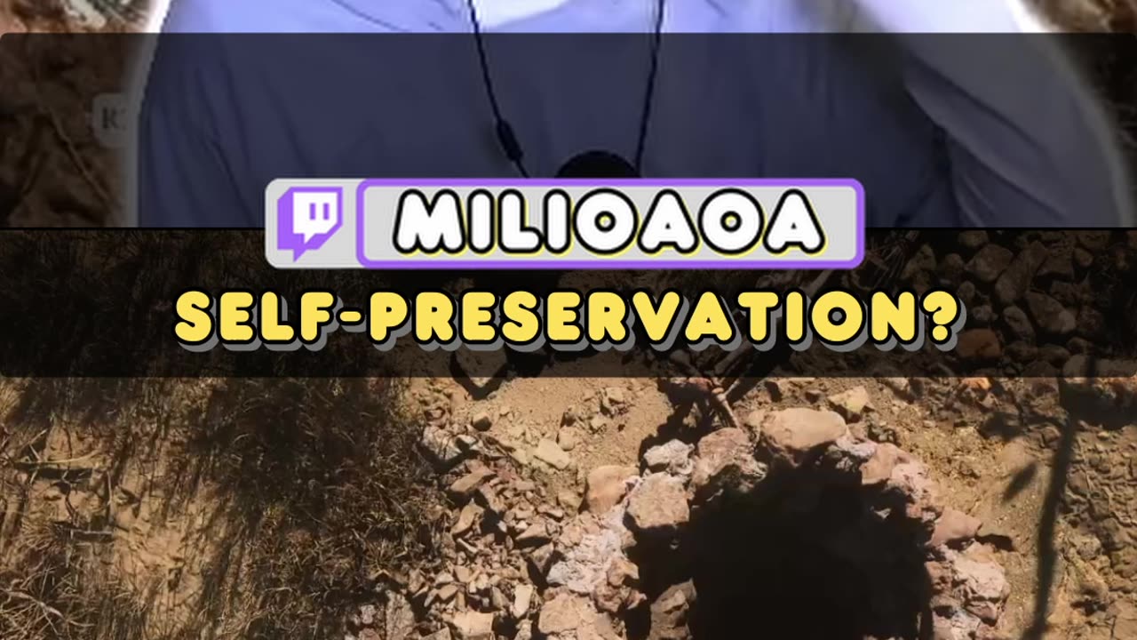 Brother has NO survival instinct