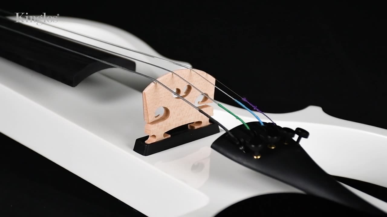 string musical instruments electric violins cellos double basses