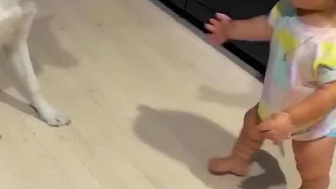a little cuteness daily 15
