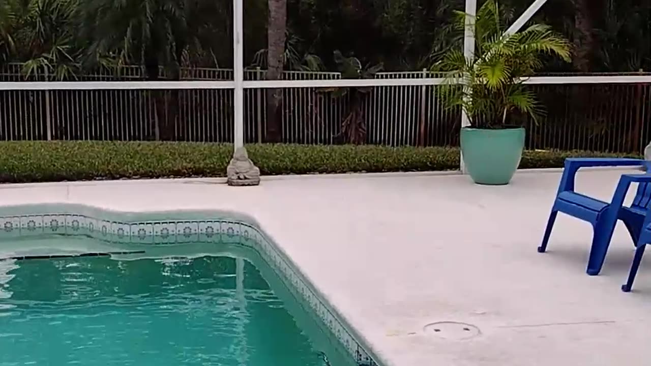 Palm City FL Pool
