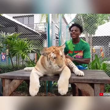 Cameraman never die 😂😂