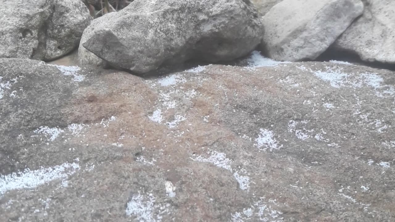 First snow on the rocks