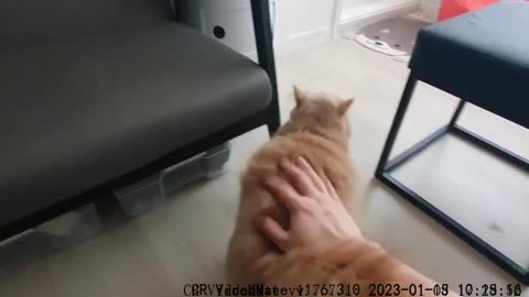 You never bite me