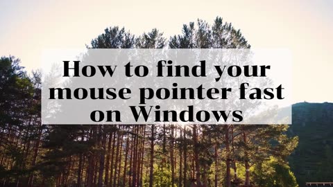 How to fix mouse pointer on Windows?