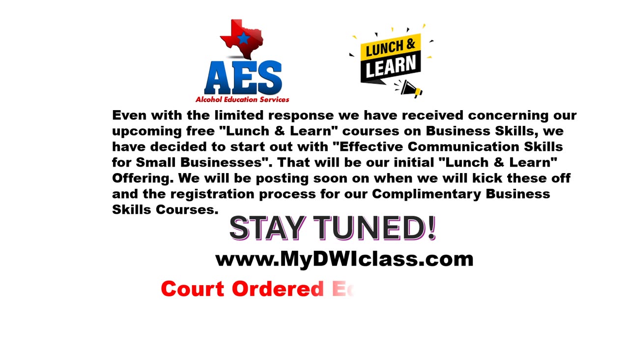 AES "LUNCH & LEARN" BUSINESS SKILLS FOR SMALL BUSINESS - INITAL OFFERING UPDATE