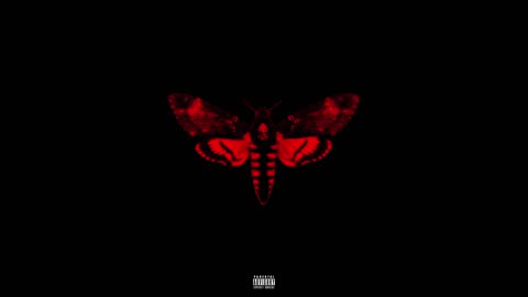 Lil Wayne - I Am Not A Human Being II (Full Album) (2013) (432Hertz)