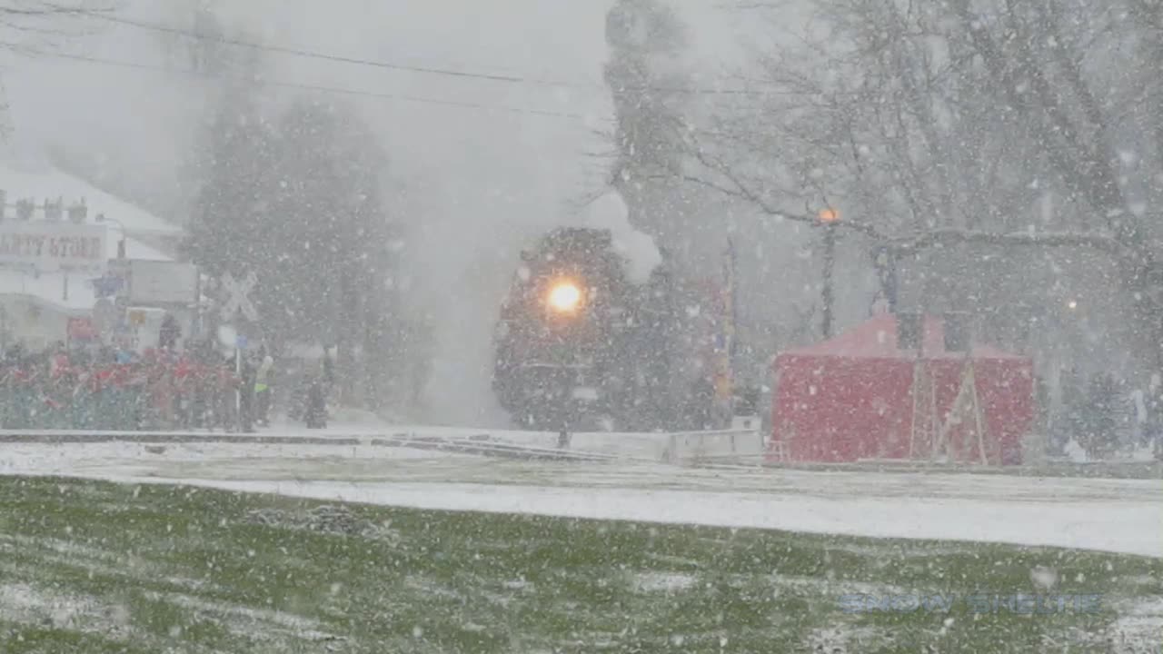 Pere Marquette #1225 (Christmas 2021 Run)