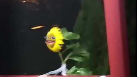 THUNDERDOME!! HUNTER'S BRILLYUNT STRATEGY!! CLAIM THE LAPTOP!!