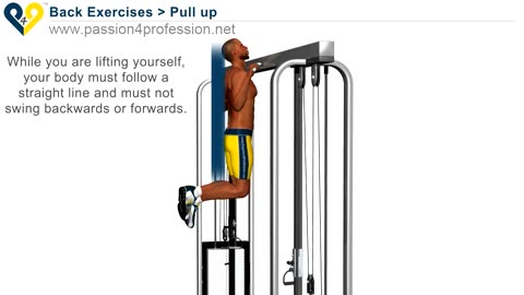 Pull Up Exercise