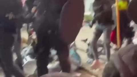 Dutch police assault pro-Palestinian protestors