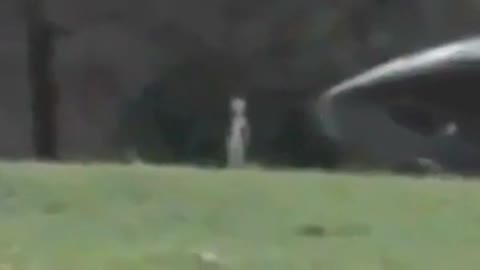 Aliens/ UFOs?