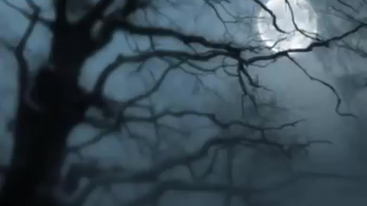 Beethoven - Silencio