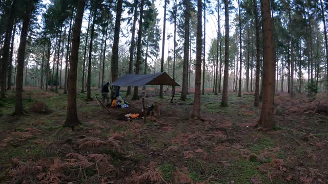 DD hammocks 3x3 tarp. Timelapse 22nd Jan 2023