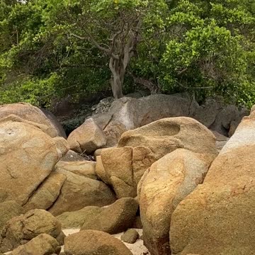 Gr liton Natural Clips, Natural Video Clips # - 71