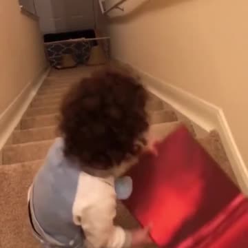 a little cuteness daily 10