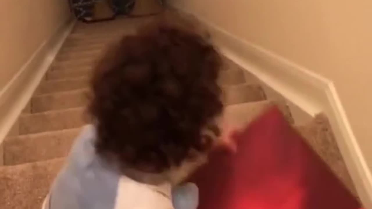 a little cuteness daily 10