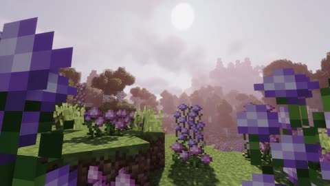 Daily Dose of Minecraft Scenery 261