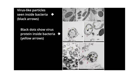 How Scientists Prove Viruses Exist