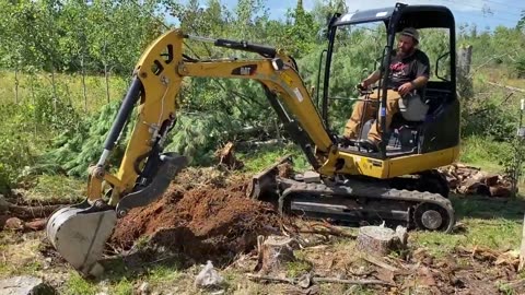 Clearing the Stumps Behind the Cabin with the Mini Excavator