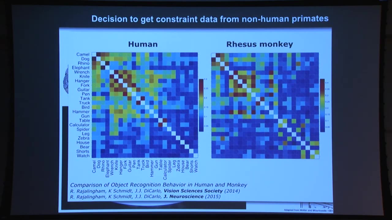 Reverse Engineering the Mind - Prof. James DiCarlo, MIT Department of Brain and Cognitive Sciences 2018