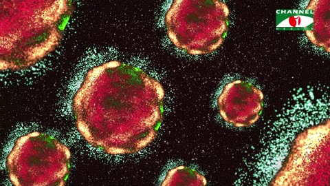 ক্যান্সার হলে ভয় নয়, হবে নিরাময়! | Cancer Treatment | স্বাস্থ্য সচেতনতা