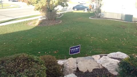 A Patriot Put Up A Sign Supporting Trump On His Lawn~Democratic Passers- By Were Quick To Snatch It But The Republican 🤪Connected To ⚡️ Electricity!