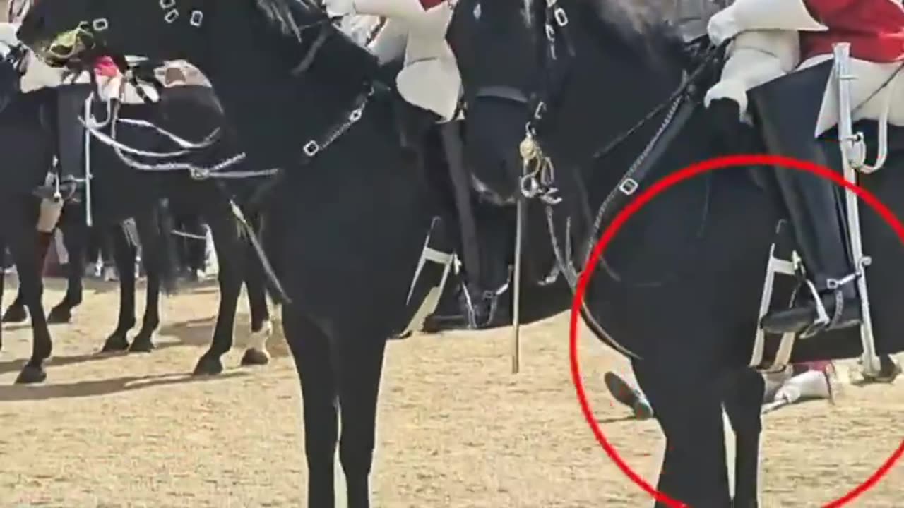 BLOODY HORSE PROPHECY POINTS TO KING CHARLES DEATH & A NEW KING??