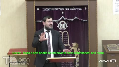 Gozez - Does a soft bristle brush have to have a hechsher? and more. Video #1 of 6, Video #28