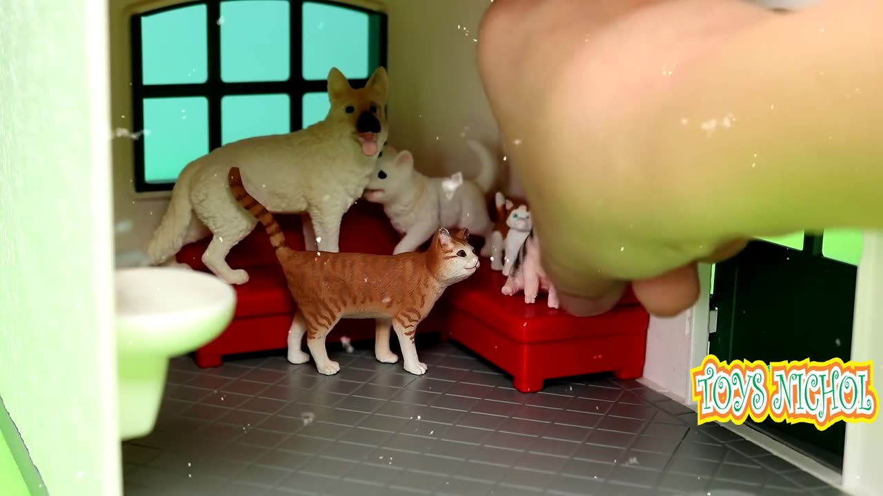 Cute White Dog Eats Bones in the Morning then Sleeps inside the House