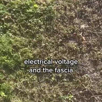 You need to be in direct contact with the Earth.