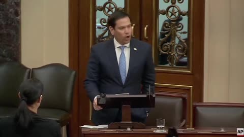 USA: Sen. Marco Rubio: These are not protestors, these are pro-terrorist mobs!