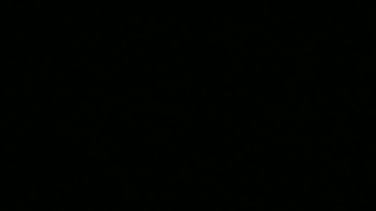 Skattie Snoring Logs Hard During the Day Time 😂😂