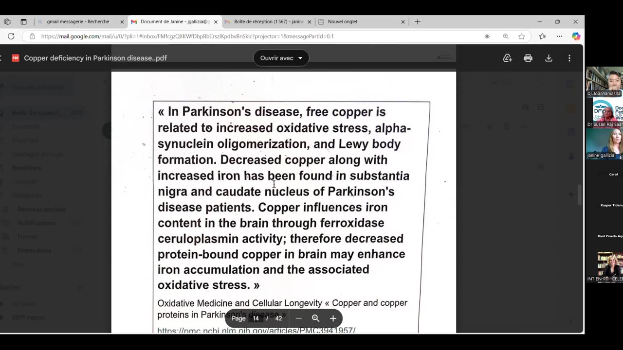 DFW Copper Deficiency By Researcher Jannie Gallizia Australia 1st Dec 2024