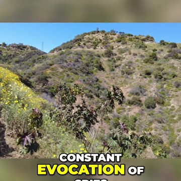 Debunking the Far-Right: Unveiling the Truth about Europe's Anti-Immigrant Parties