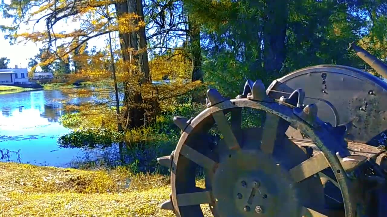 Caminata otoñal por el Tacua - Tacuarembó (28/04/2024)