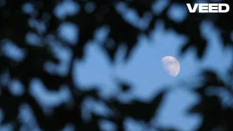 HIJO DE LA LUNA