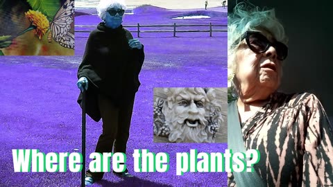 Where are the plants?