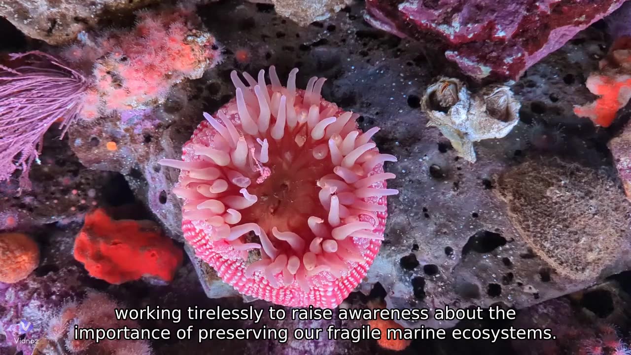 The life of Rob Goodell