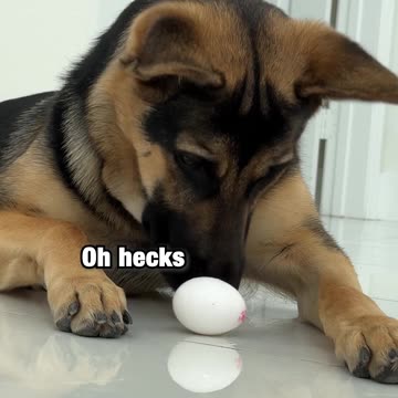 Do you think she liked it?