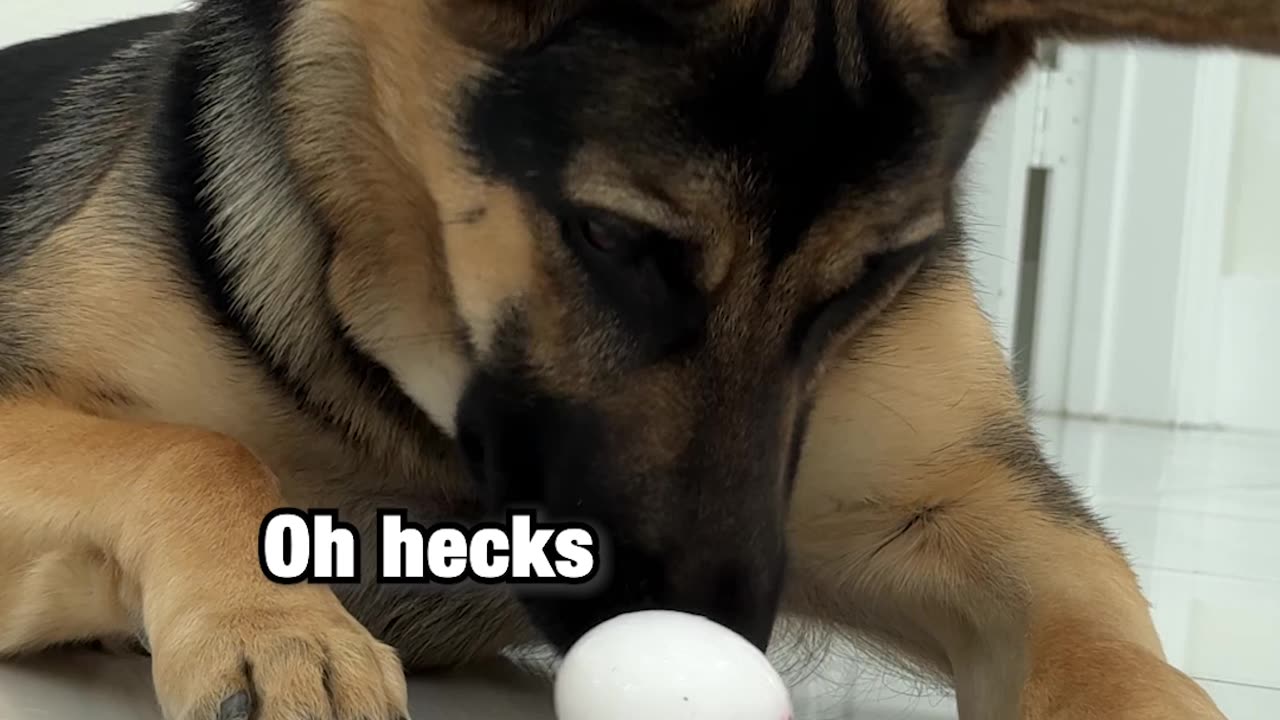 Do you think she liked it?