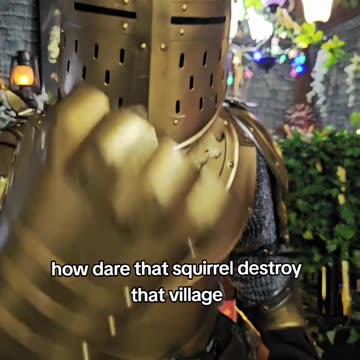 Squirrel 🔰🔰🔰