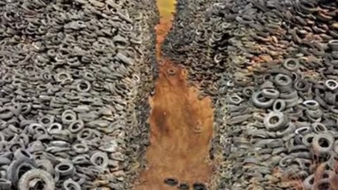 Photos That Will Change Way You See The World