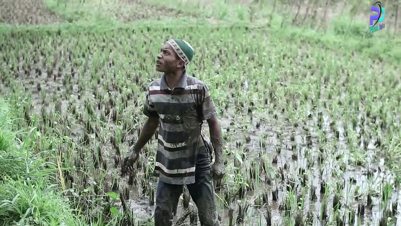 PERKORO GODER -- MUSOH WONG BUDEK Eps 56 -- Cerita Jawa