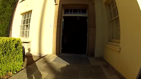 Gyroscopic Precession