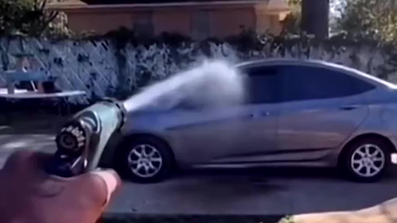 Get Out His Yard