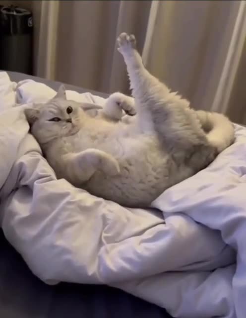 Breakfast when? 🤣