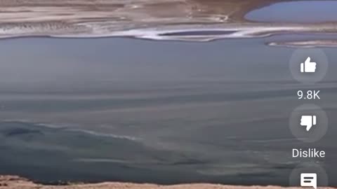 Clearly this is Earth and NOT Mars