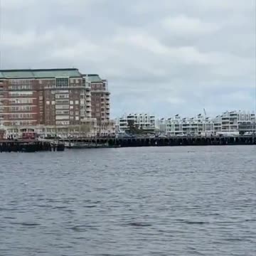 USA: What is going on in Boston, where all the Democrat environmentalist?